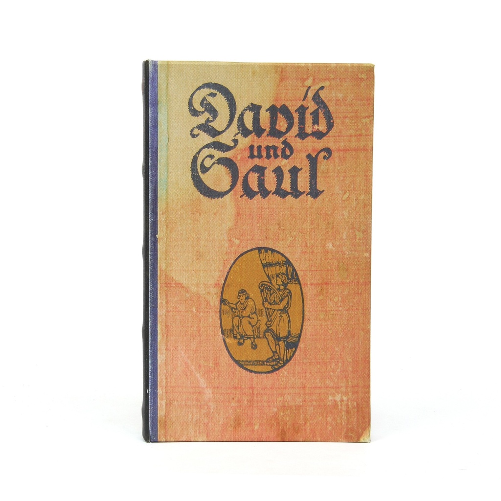 Buchhülle 'David und Saul'